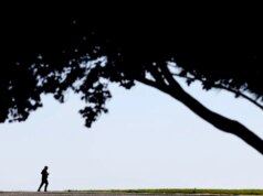 Seco depois de um dia de chuva