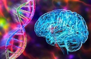 Este gene pode explicar a maioria dos casos de Alzheimer