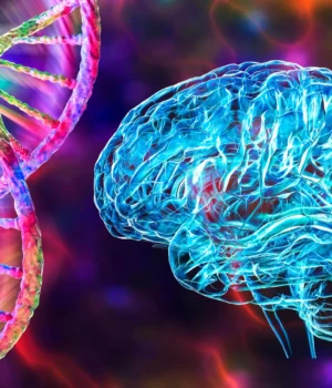 genetic-neuroscience-human-brain-dna-mutation.webp.webp