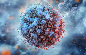 Um ciclo imunológico oculto pode causar inflamação perigosa com a idade