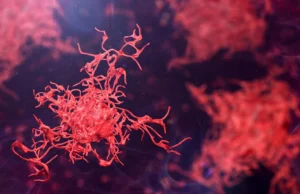 Cientistas pedem ação urgente à medida que amebas perigosas se espalham pelo mundo