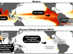 Os oceanos antigos eram ricos em oxigênio, apesar de suas temperaturas extremas