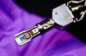 Um estranho estado da matéria é finalmente observado