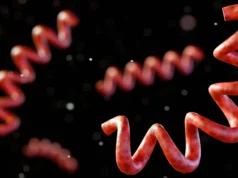 Uma doença perdida emerge de restos humanos de 5.500 anos