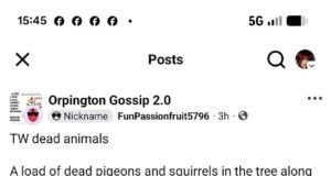 Cerca de uma dúzia de animais selvagens, incluindo aves listadas em lista vermelha, foram torturados e mortos usando “catapultas” em bairros arborizados de Londres atingidos por uma série de ataques semelhantes.