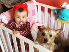 Eu não sabia que tinha essa condição até que minha cachorrinha Bonnie salvou minha vida… Ela caminhou até meu pai e continuou batendo nele até perceber que algo estava errado… Ela seguiu Bonnie até a sala e me jogou no chão.