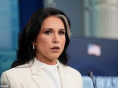 Reclamação do denunciante contra Tulsi Gabbard ‘com base em conversas telefônicas interceptadas pelos EUA envolvendo pessoa próxima a Donald Trump’