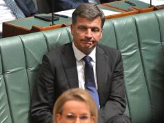 Nova pesquisa desastrosa para a Coalizão dá a Angus Taylor a munição que ele precisa para desafiar Susan Leigh – enquanto One Nation relaxa e colhe os frutos