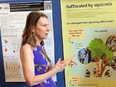 Baronesa provoca indignação com vestido de esquilo cinza Dolce & Gabbana em conferência sobre espécies vermelhas ameaçadas de extinção