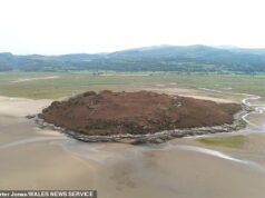 Viva como a realeza! A ilha privada que pertenceu à Rainha Anne pode ser sua por £ 350.000… mas só é acessível na maré baixa