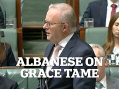 Drama enquanto Albanese é solicitada a condenar a ‘horrível calúnia anti-semita’ de Grace Tame no Parlamento – antes que ela feche rapidamente o período de perguntas do dia
