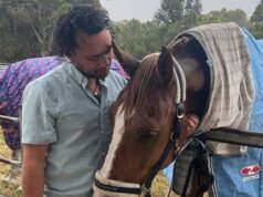 Diretor de provedor NDIS não registrado acusado de canalizar US$ 850.000 do dinheiro de sua empresa para site de jogos de azar