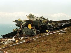 ‘Ainda estamos esperando por uma resposta.’ Viúvas cujos entes queridos morreram no desastre de Chinook falam pela primeira vez da sua devastação