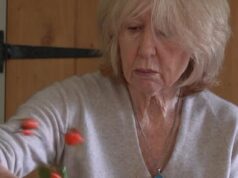 A Rainha de Chipping Norton Chic foi pega em uma briga com seus vizinhos abastados por converter escritórios em casas de aluguel sem permissão de planejamento.