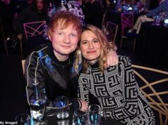 Os planos de Ed Sheeran de transformar duas casas de campo em Suffolk em uma grande casa de férias tiram acomodações dos sem-teto, diz o vereador