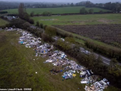 Missão de arrecadação de fundos para ajudar o agricultor dos anos 80 que enfrenta uma conta de £ 40.000 depois que caminhões basculantes despejam 200 toneladas de lixo em suas terras