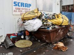 Os arruaceiros que despejam lixo transformaram as nossas ruas nos “piores” locais de despejo de moscas da Grã-Bretanha – estão a tornar as nossas vidas insuportáveis