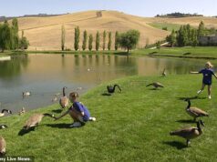 Moradores de um elegante clube de campo reclamam que os preços de suas casas estão caindo porque os proprietários não limpam lagos sujos que abrigam espécies protegidas