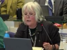 Solicitantes de asilo poderão receber cartões de Dia dos Namorados feitos por crianças – que serão entregues por uma vereadora do Partido Verde e seus netos