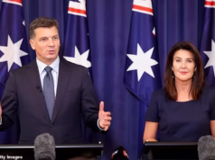 Uma única foto mostra a primeira transformação de Angus Taylor desde que se tornou líder liberal – e é um forte contraste com Anthony Albanese