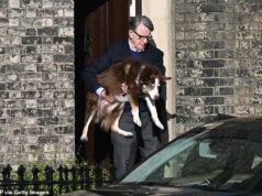 Peter Mandelson aparece pela primeira vez desde o escândalo de Epstein quando surgem notícias de um ‘voo fantasma’ para visitar Putin e ele está sendo chamado para testemunhar perante o Congresso dos EUA