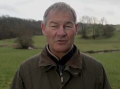 Elon Musk ataca Nigel Farage enquanto o chefe da Tesla apóia o novo partido político do ex-reformado parlamentar do Reino Unido, Restaurar a Grã-Bretanha