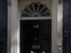 Larry the Cat está comemorando 15 anos no número 10! Chief Mouser, 19, marcou mais um ano como o melhor gato de Downing Street