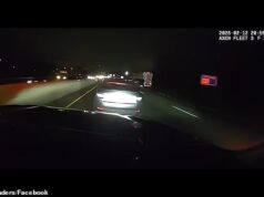 Momento horrível: ‘motorista bêbado’ se ajoelha em perseguição em alta velocidade com a polícia