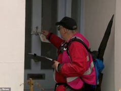 Ativistas pró-Palestina foram acusados de conduzir “campanhas de intimidação” de porta em porta para boicotar produtos israelenses.