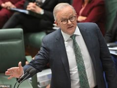 Anthony Albanese emitiu um aviso ameaçador às noivas do ISIS que tentam retornar à Austrália