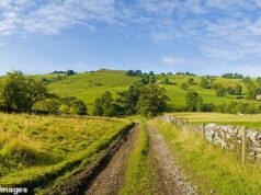 O Pub Capital do Reino Unido lançou – a sua cidade está na lista?