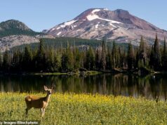 O belo estado do Noroeste do Pacífico é famoso pela sua natureza e a política de vigilantes está um passo mais perto de proibir a caça e a pesca.