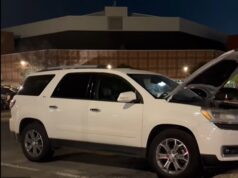 Desastre após marmota invadir carro de estudante da Universidade de Arkansas