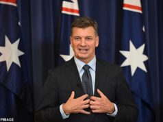 Angus Taylor fez três grandes decisões ao revelar seu ministério paralelo… mas uma decisão pode destruí-lo se ele não tomar cuidado: PVO