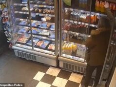 O ladrão da série Moment Greggs, apelidado de ‘Hamster’, descaradamente rouba bebidas na frente dos funcionários – enquanto evita a prisão, apesar de 38 roubos