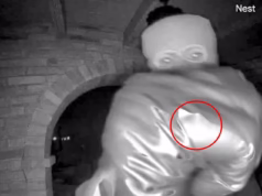 Pequena pista no vídeo do sequestro de Nancy Guthrie que levou a polícia a uma grande chance: a análise de especialistas decodifica exatamente o que isso significa