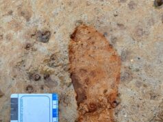 Retorno ao Império Romano