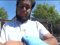 Proprietário ‘selvagem’ de resgate de cães de pesadelo onde a polícia encontrou 41 corpos de animais de estimação presos por cinco anos