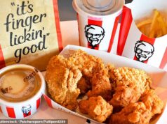 KFC, Nando’s e Burger King abandonam a promessa de reduzir o uso de frango, que cresce rapidamente, à medida que a demanda por aves no Reino Unido aumenta