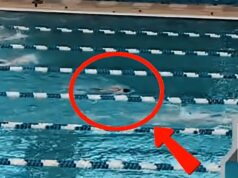 O momento terrível em que a estrela da natação de Stanford, de 20 anos, flutuou de bruços na piscina antes de desmaiar