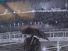 Kennedy Center de Trump vandalizado por bandidos brutais após incansável campanha de meses de duração dos democratas contra a mudança de nome