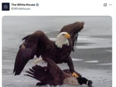 A Casa Branca perseguiu impiedosamente o Canadá depois que a equipe dos EUA conquistou o ouro nos Jogos Olímpicos de Inverno