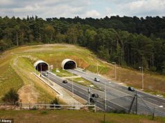 A menina, de sete anos, e a mulher, de 43, morreram no acidente perto do túnel em Surrey