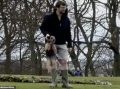 Chefe do conselho acusado de ‘esfregar’ animais de estimação na frente de crianças no parque