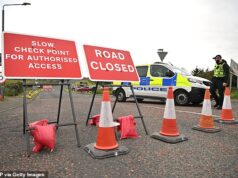 Oito feridos após viagem em contramão na A1: arado atinge carro: Homem, 37, preso