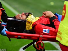 O ex-astro da Premier League e da Inglaterra, de 30 anos, foi hospitalizado com um grave ferimento na cabeça – e pode ficar afastado por ‘meses’ após a grave lesão