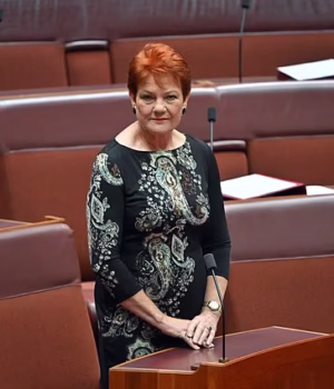 106591769-15583291-Pauline_Hanson_has_accused_her_political_opponents_of_trying_to_-a-76_17718049041.avif