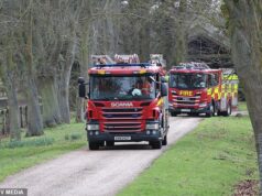 Dois carros de bombeiros foram vistos entrando na propriedade de Sandringham, onde Andrew Mountbatten-Windsor mora, após responder a um ‘alarme falso’