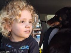 Mensagem oculta poderosa na declaração dos pais de Gus Lamont: A dor deles é palpável – mas algo mais está sendo dito aqui, escreve Carleigh Smith