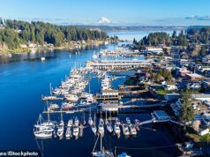 Pelo menos quatro pessoas foram mortas depois que um maníaco armado com uma faca atirou em um estranho corpo de água no subúrbio de Washington.